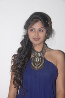 Monal Photos